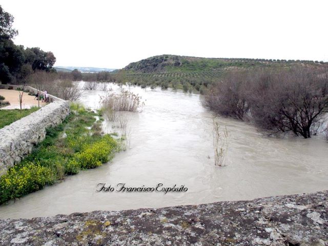 Rio Guadajoz