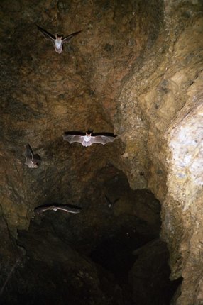 Interior cueva del yeso