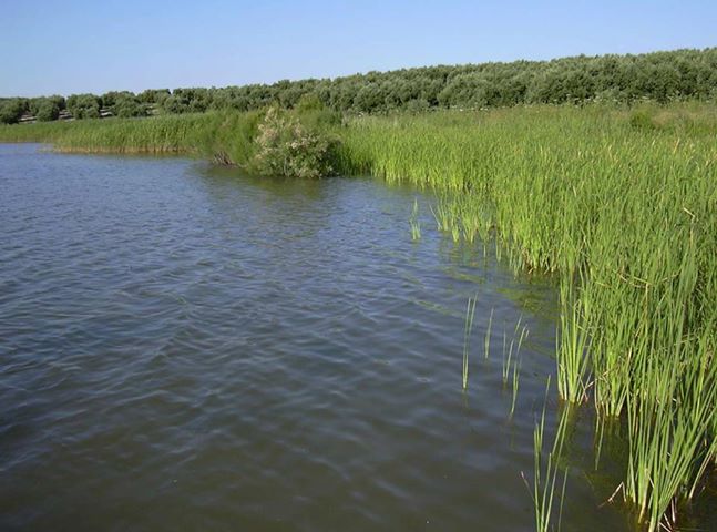 Laguna de la Quinta